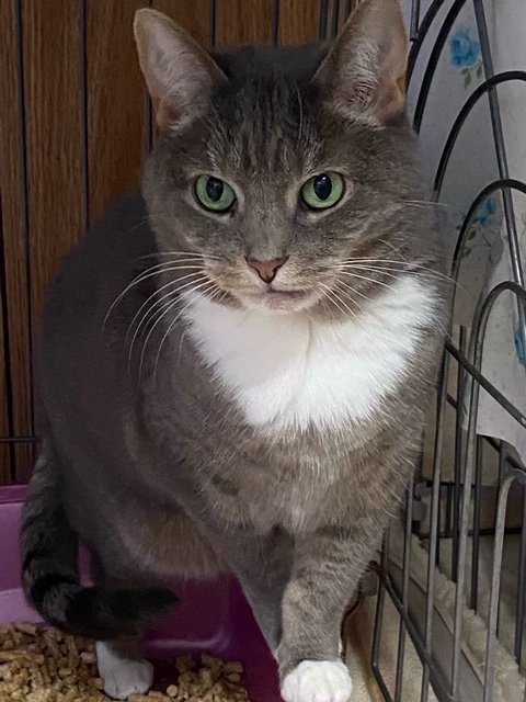 Fritzi